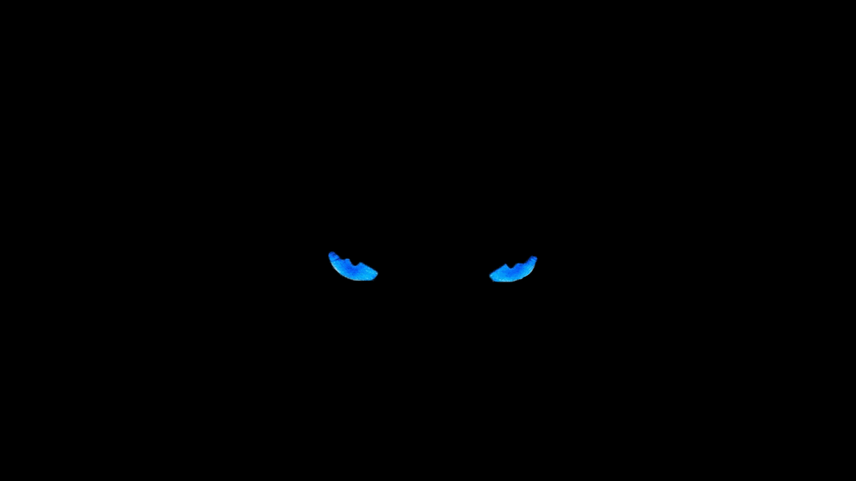 Blue Eyes Animated
